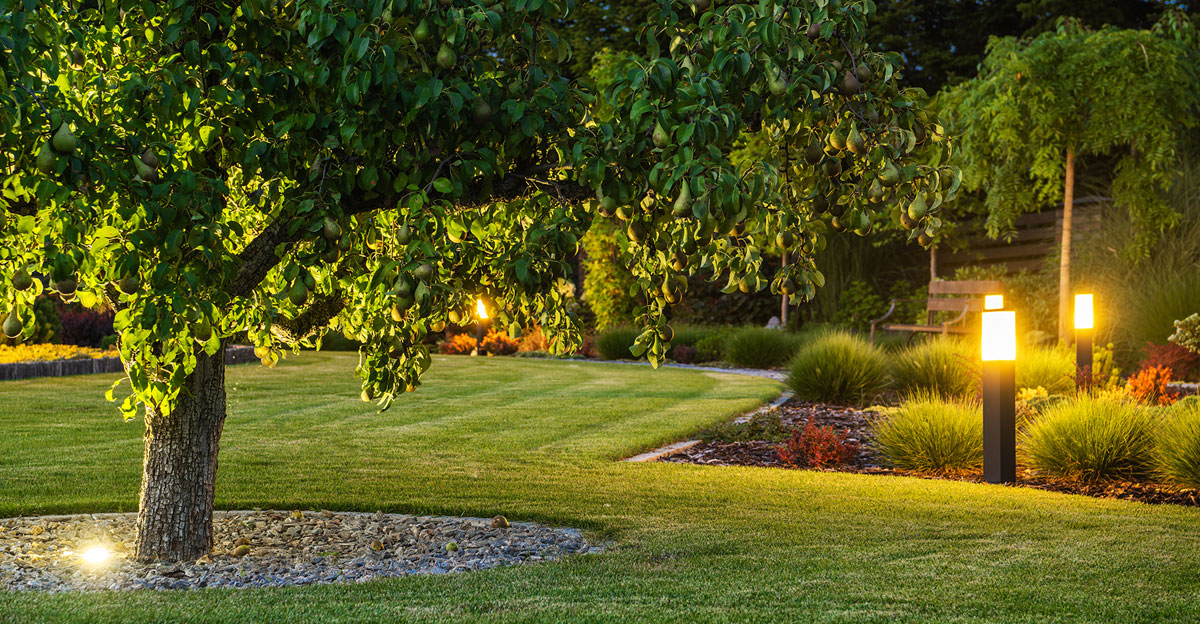 functionality and flow of landscape design