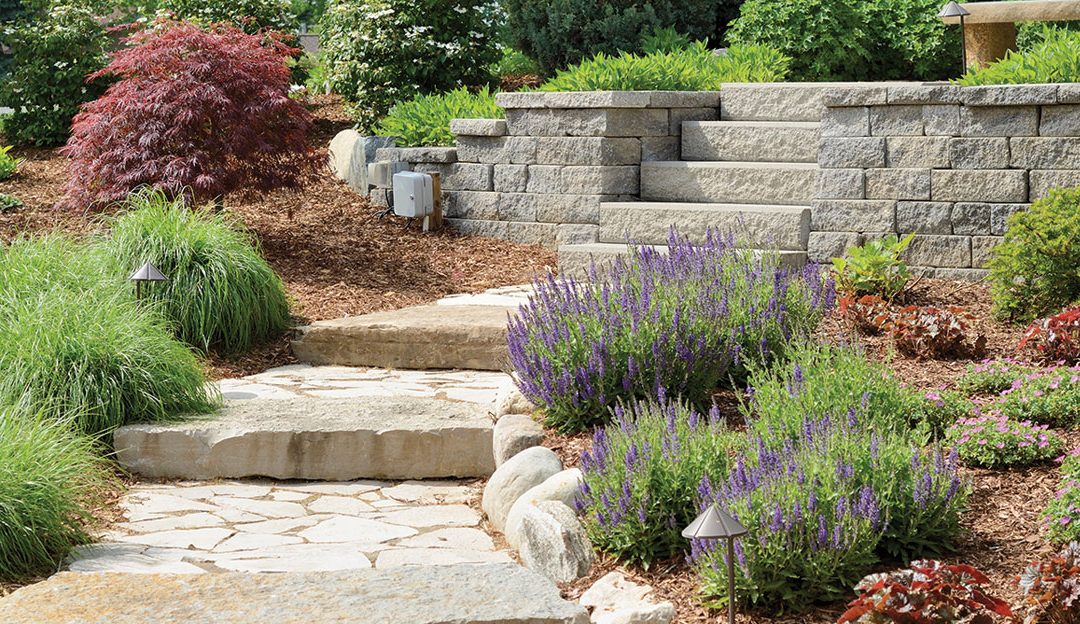 What is a landscape designer and why should you hire one